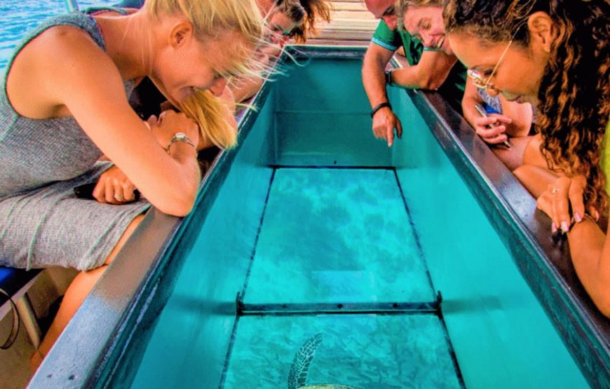 GLASS BOAT AT HAVELOCK