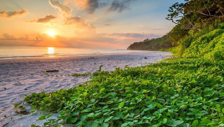 Andaman Delight Family Tour