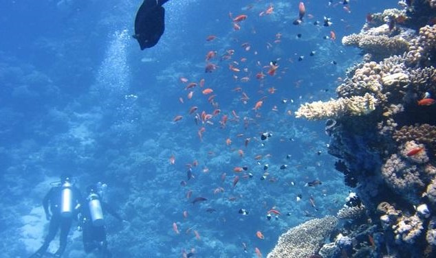 Andaman beach tour package